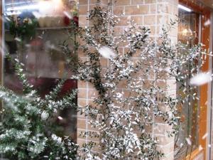 今年もよろしくお願いします（＾◇＾）｜「深山生花店」　（佐賀県多久市の花キューピット加盟店 花屋）のブログ