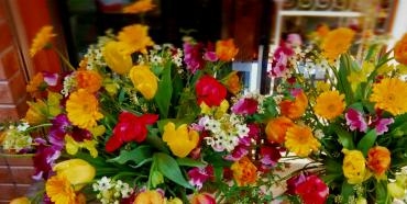 春が来た？｜「深山生花店」　（佐賀県多久市の花キューピット加盟店 花屋）のブログ